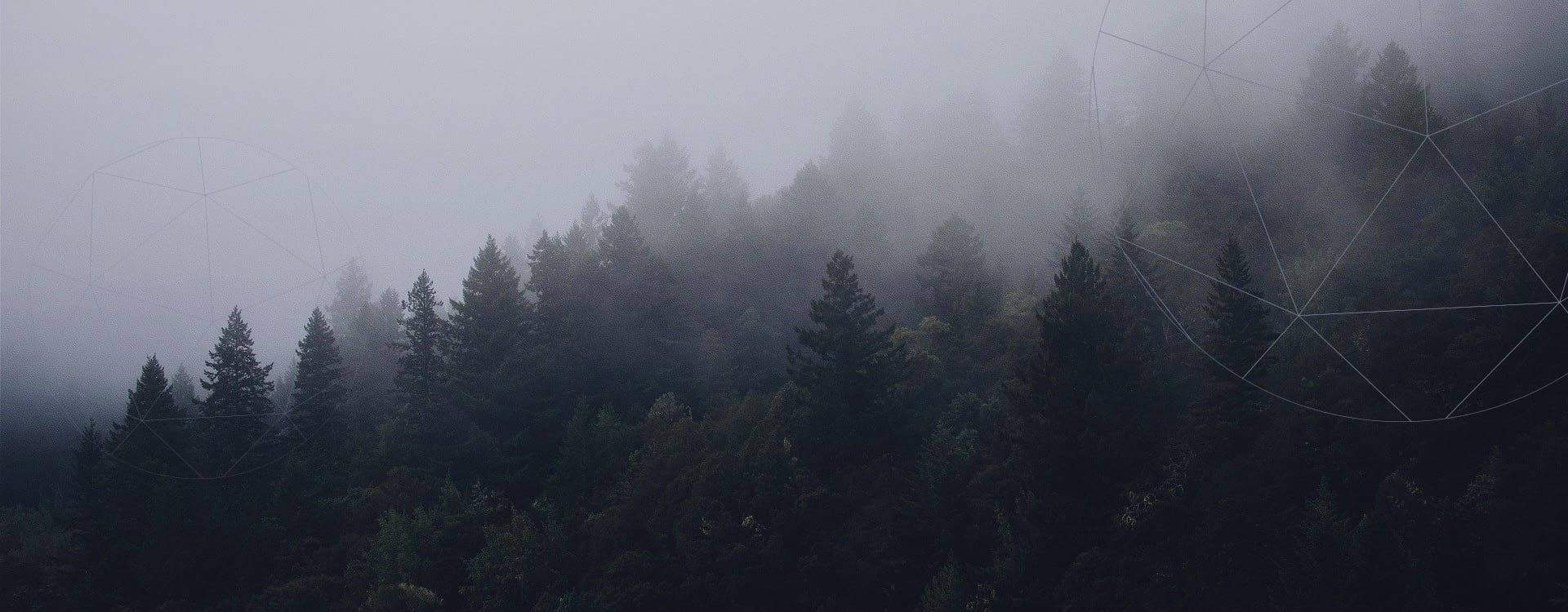 Possible Changes to Capital Gains under the Biden Administration